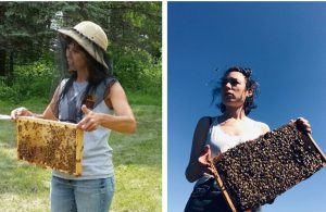 Minding Your Bees and Cues